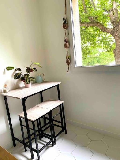 Mon Cocoon Toulousain Cosy Appartement Idealement Situe Toulouse Exterior foto
